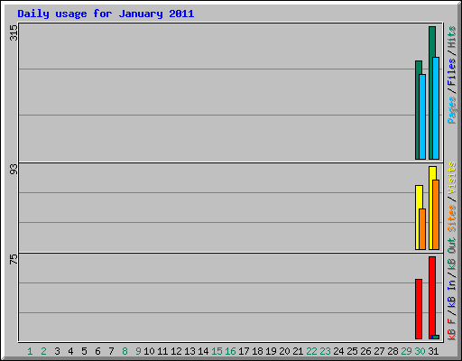 Daily usage for January 2011