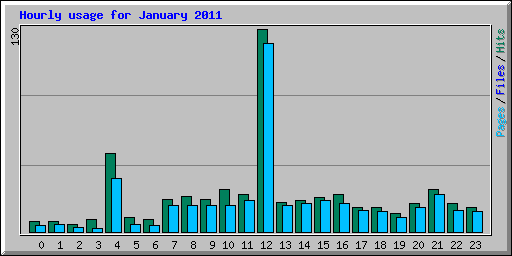 Hourly usage for January 2011